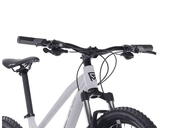 Rock Machine Manhattan 40-29 rower górski Limerock Grey