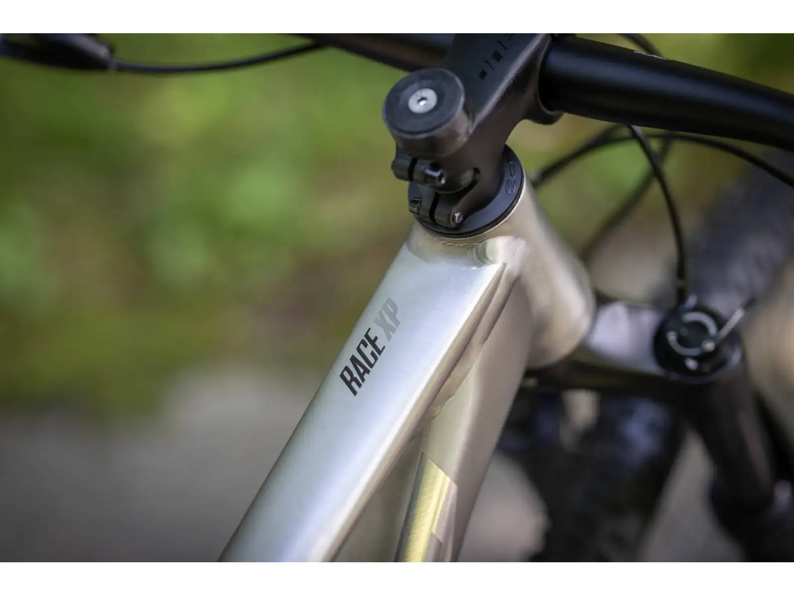 Superior XP 939 rower górski Brushed Alu/Hologram Chrome
