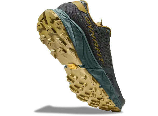 Dynafit Ultra 100 GTX męskie buty Lichen/Atlantic