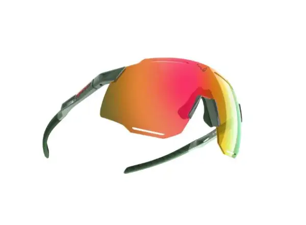 Dynafit Alpine Evo okulary Sage/Thyme