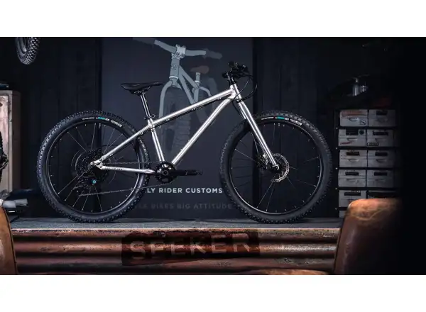 Early Rider Seeker 24 rower dziecięcy Brushed Aluminium