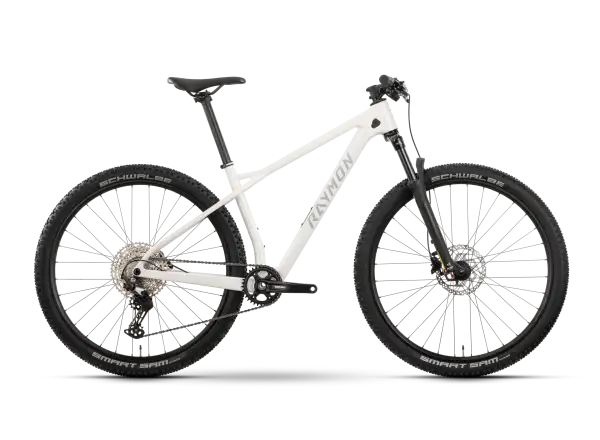Raymon Arid 29" rower górski SaltWhite