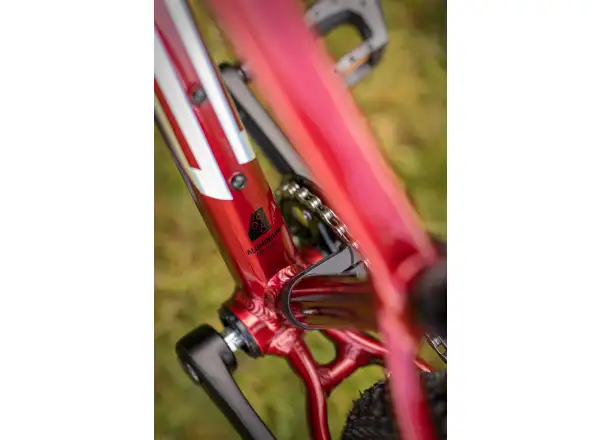 Superior Team 24 dziecięcy rower górski Gloss Dark Red