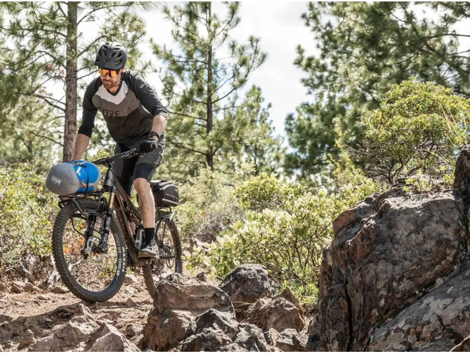 Topeak Tetrarack M2 tylny bagażnik na widelcu MTB