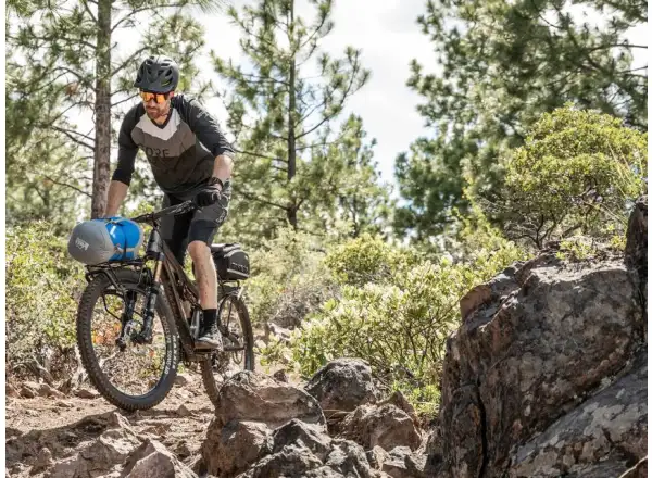Topeak Tetrarack M2 tylny bagażnik na widelcu MTB