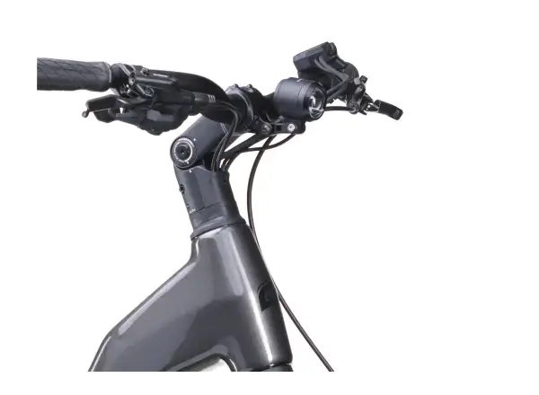 Crussis ONE-Country AX 8.12-M2(600) miejski rower elektryczny