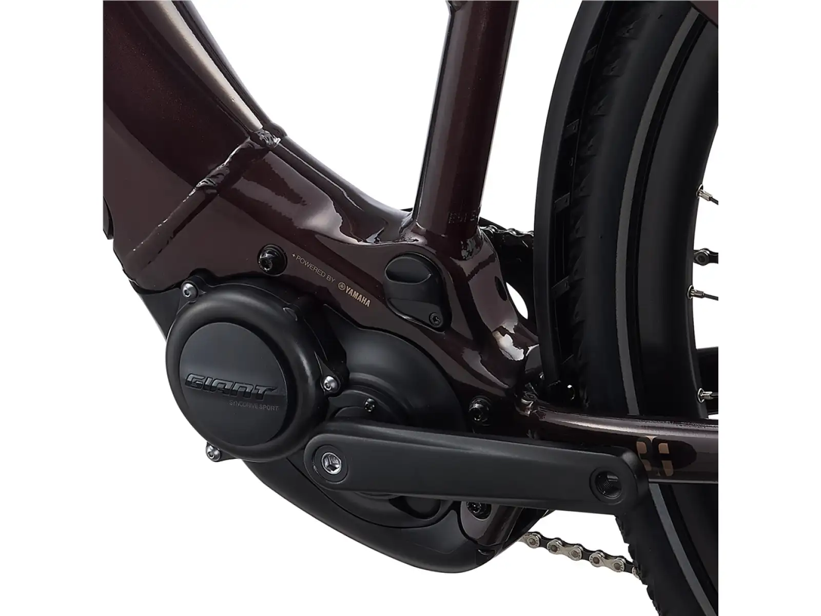 Liv Amiti E+2 rower elektryczny trekkingowy rosewood