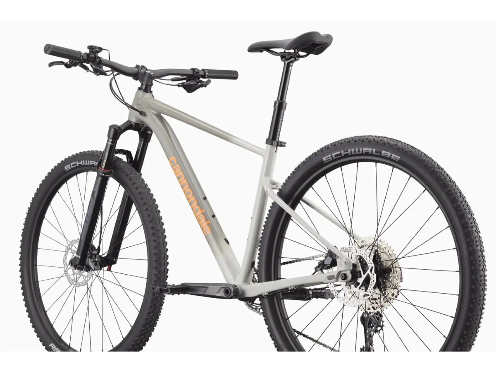 Cannondale Trail SL 1 29" rower górski Slate Grey