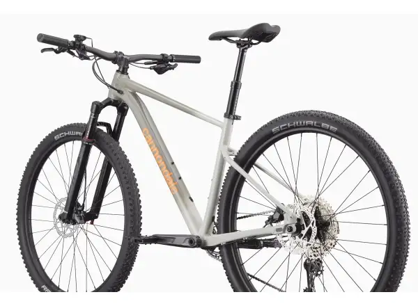Cannondale Trail SL 1 29" rower górski Slate Grey