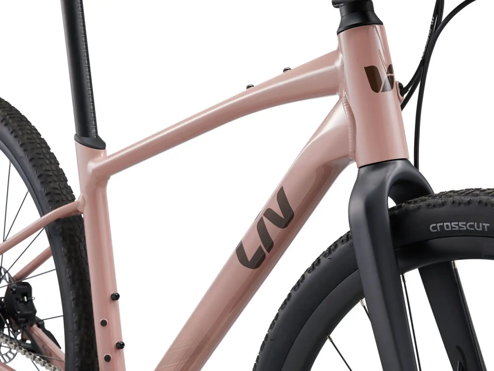 Liv Thrive GX rower fitness petra clay