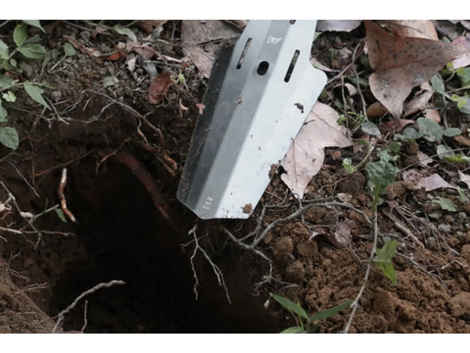 Woho Shovel Fender błotnik ramowy czarna
