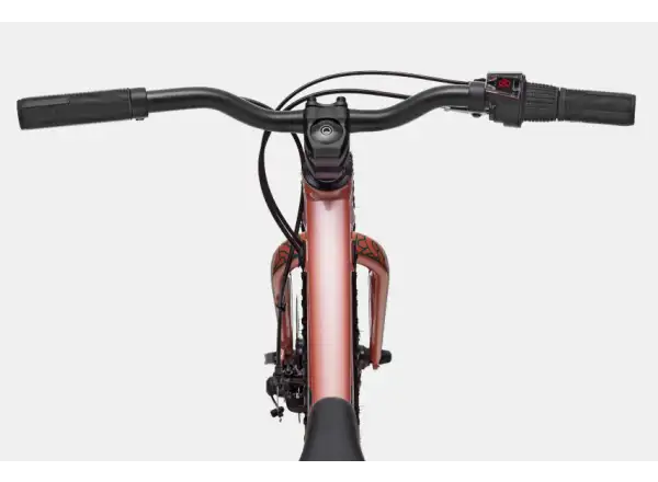 Cannondale Trail Plus 20 rower dziecięcy Salmon