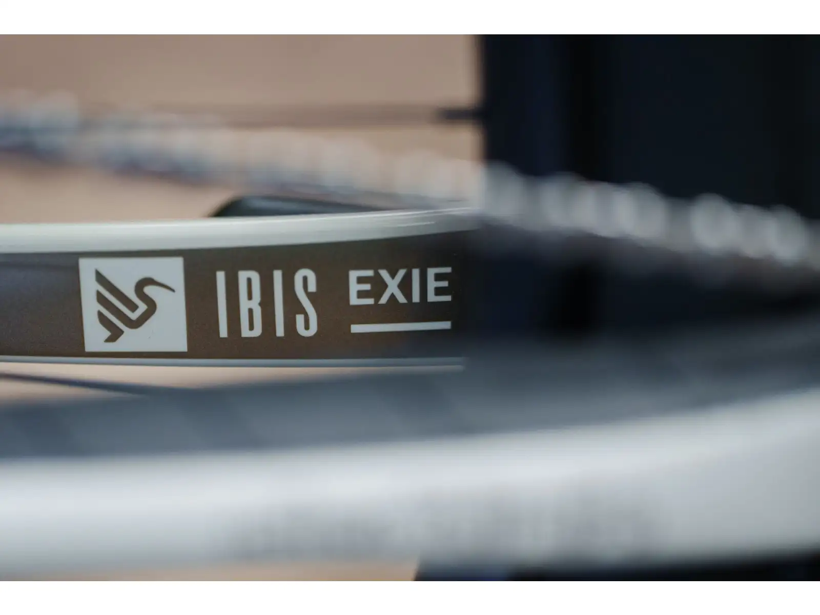 Ibis Exie V2 GX 29" rower górski bone