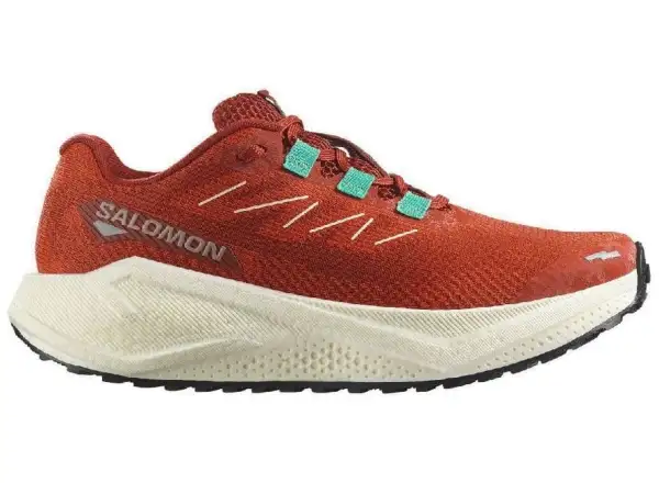 Salomon Aero Blaze 3 GRVL W damskie buty do biegania Burnt Ochre/Vanilla Ice/Vanilla Ice