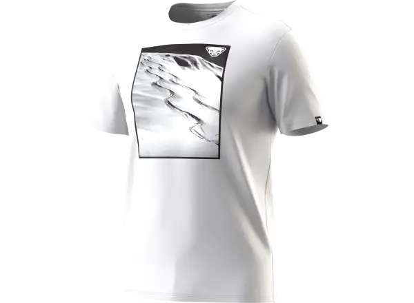 Dynafit Graphic Cotton męska koszulka krótki rękaw Nimbus/First Track