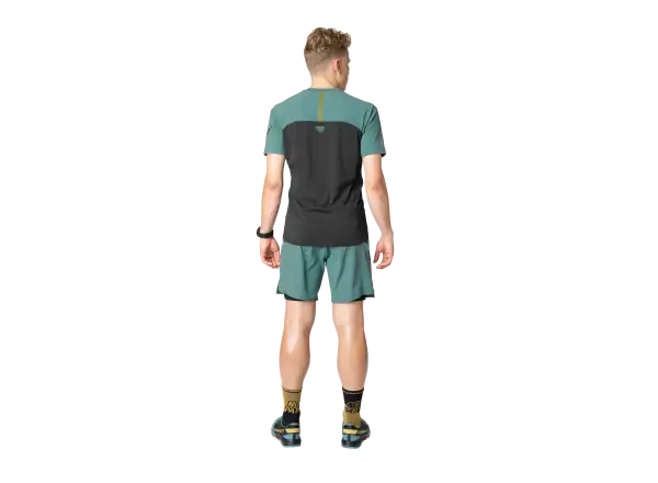Dynafit Alpine Pro 2v1 męskie szorty biegowe Atlantic