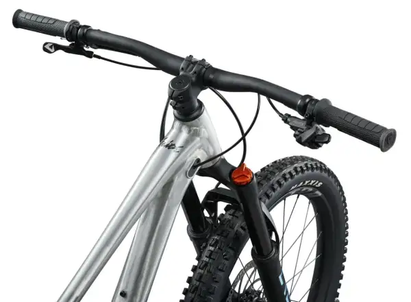Giant Faith 24 dziecięcy rower fullsuspension Raw Aluminium
