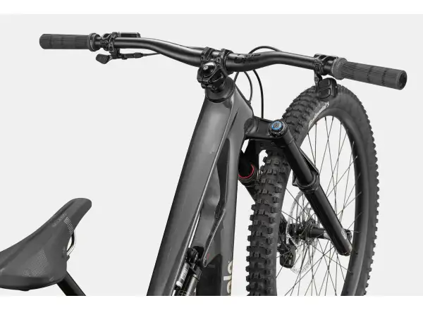 Cannondale Bad Habit 1 rower górski RAW Carbon