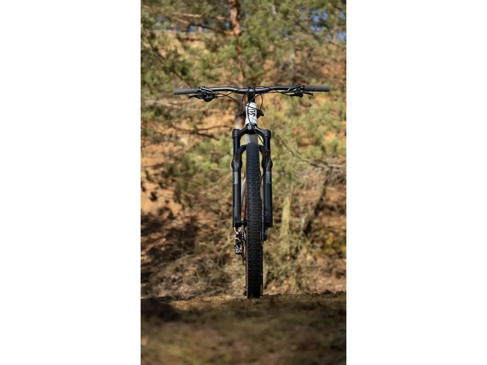 Rock Machine Blizz Cr 70 rower górski Gloss Limerock Grey