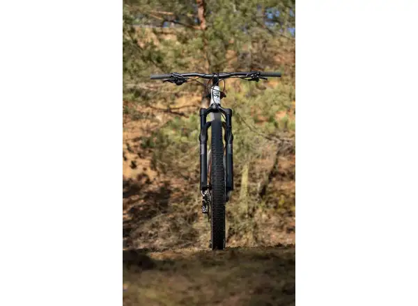 Rock Machine Blizz Cr 70 rower górski Gloss Limerock Grey