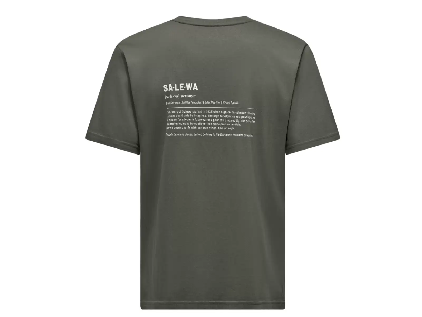 Salewa Eagle Vocab męska koszulka krótki rękaw Faded Green