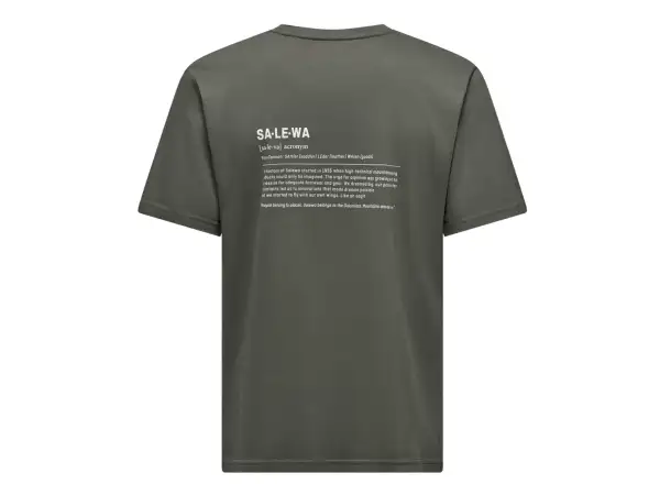 Salewa Eagle Vocab męska koszulka krótki rękaw Faded Green