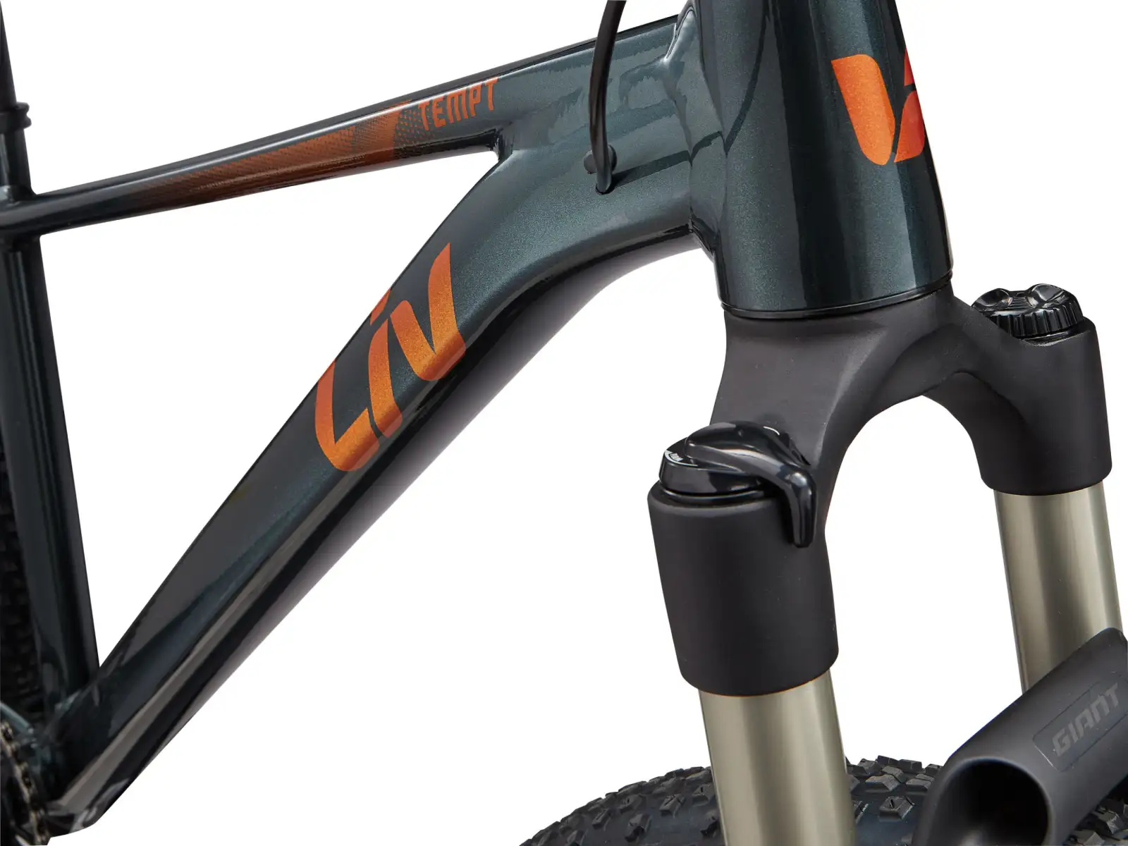 Liv Tempt 0 damski rower górski 29" Asphalt Green