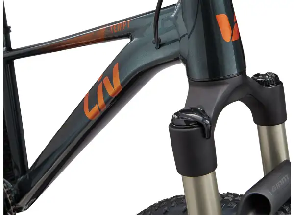 Liv Tempt 0 damski rower górski 29" Asphalt Green