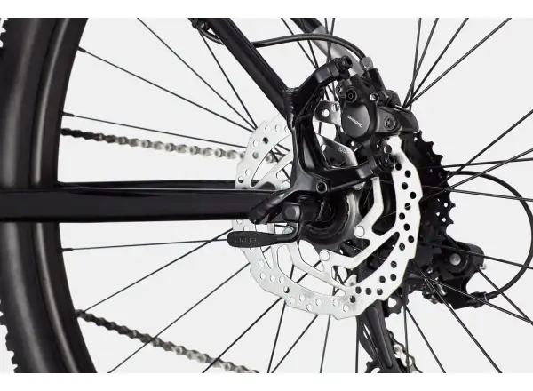Cannondale Trail 8 29" rower górski Grey