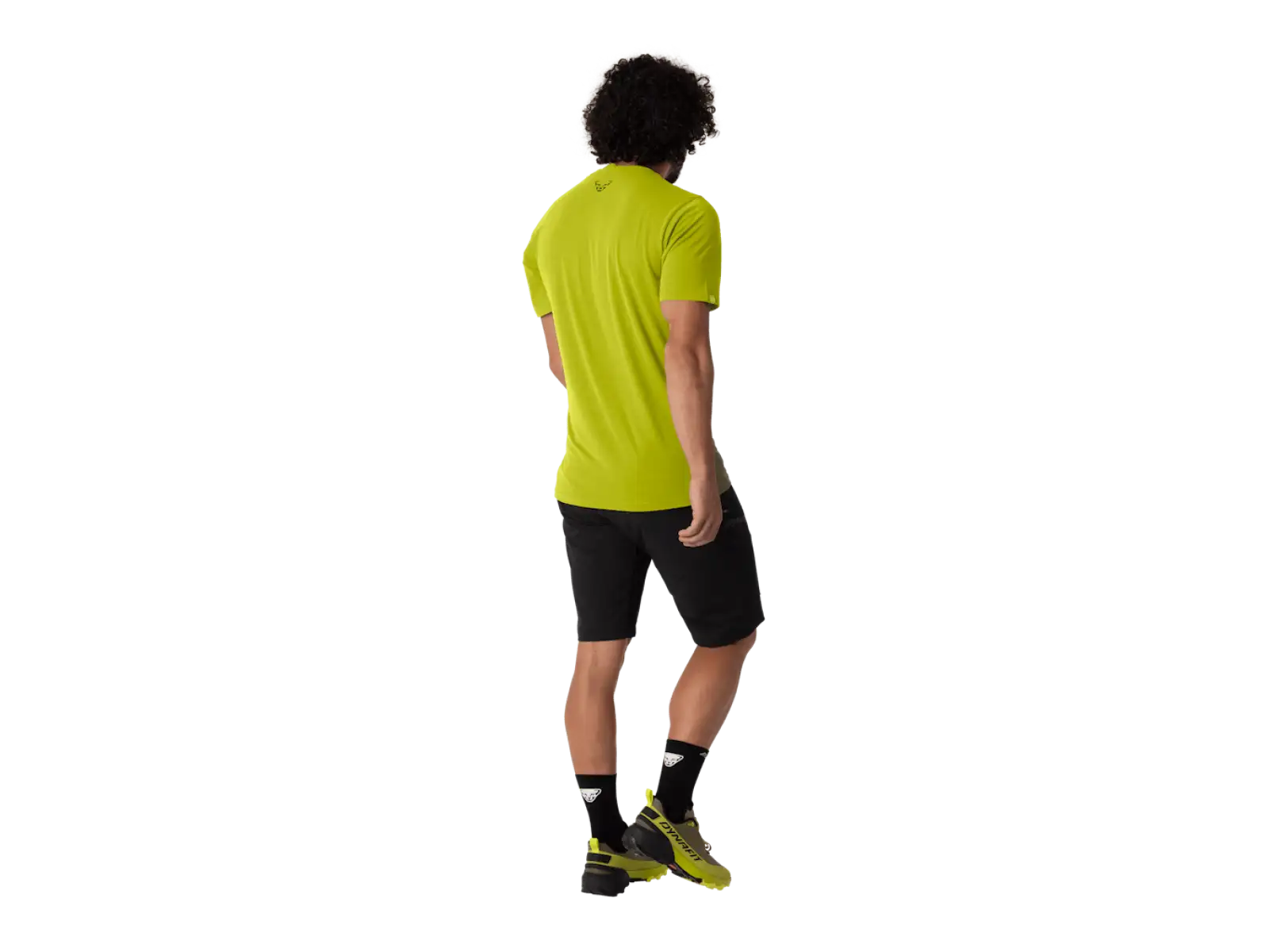 Dynafit Transalper Graphic męska koszulka z krótkim rękawem Golden Lime