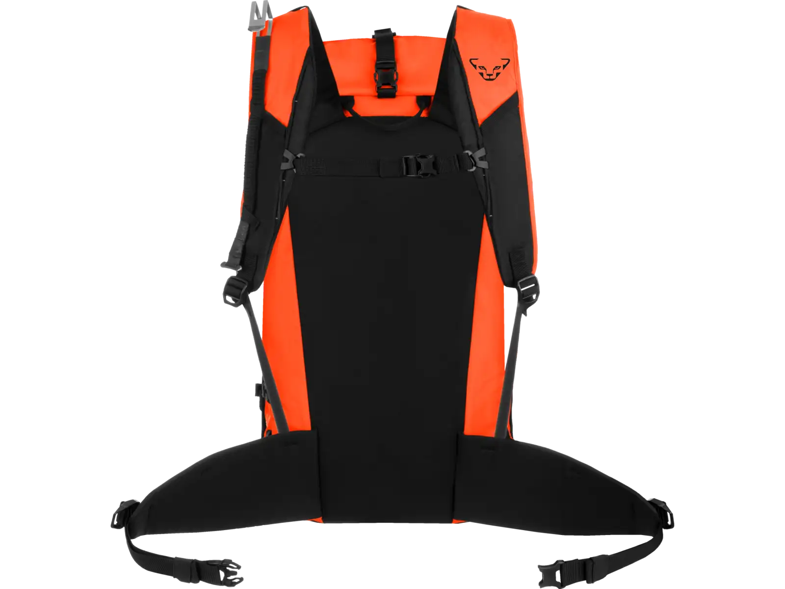 Dynafit Expedition plecak 36 l Dawn/Black Out