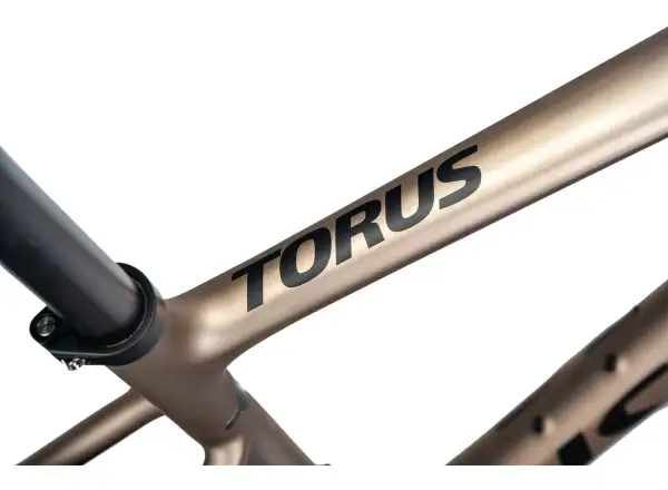 Isaac Torus Xplore GRX610/RX820 2x12 rower gravel Blast Bronze