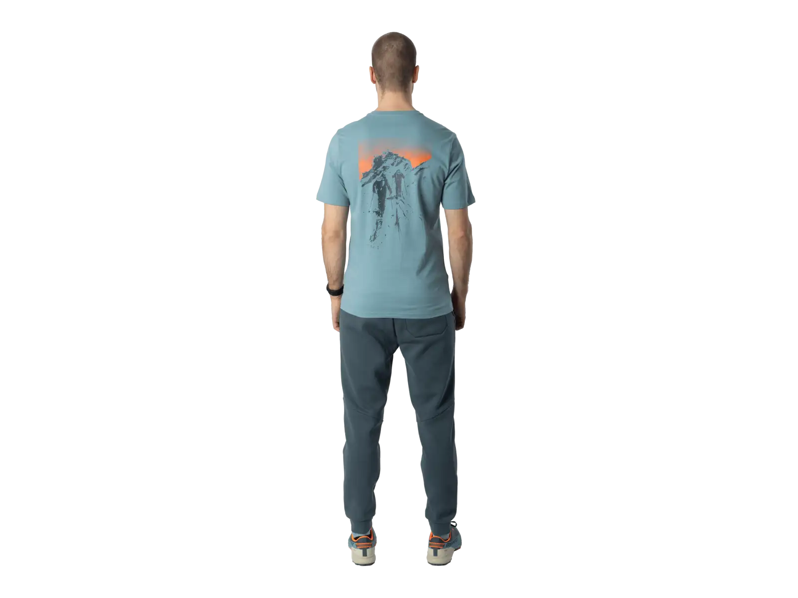 Dynafit Back Graphic Cotton męska koszulka z krótkim rękawem Smoke Blue/Approach