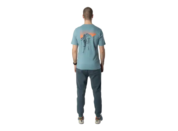 Dynafit Back Graphic Cotton męska koszulka z krótkim rękawem Smoke Blue/Approach