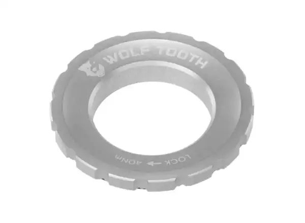 Wolf Tooth nakrętka Centerlock Rotor raw srebrna