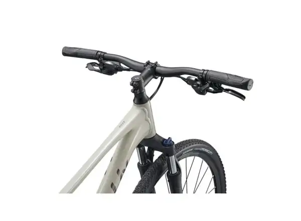 Giant Rove 3 rower trekkingowy Pulp Gray