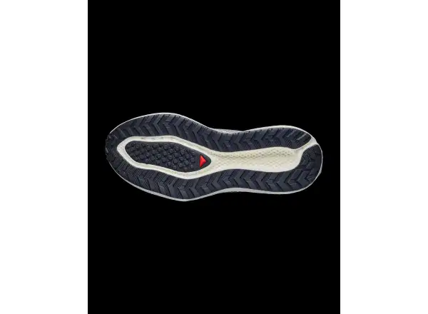 Salomon Aero Glide 4 GRVL męskie buty do biegania Vanila/Black/Iron