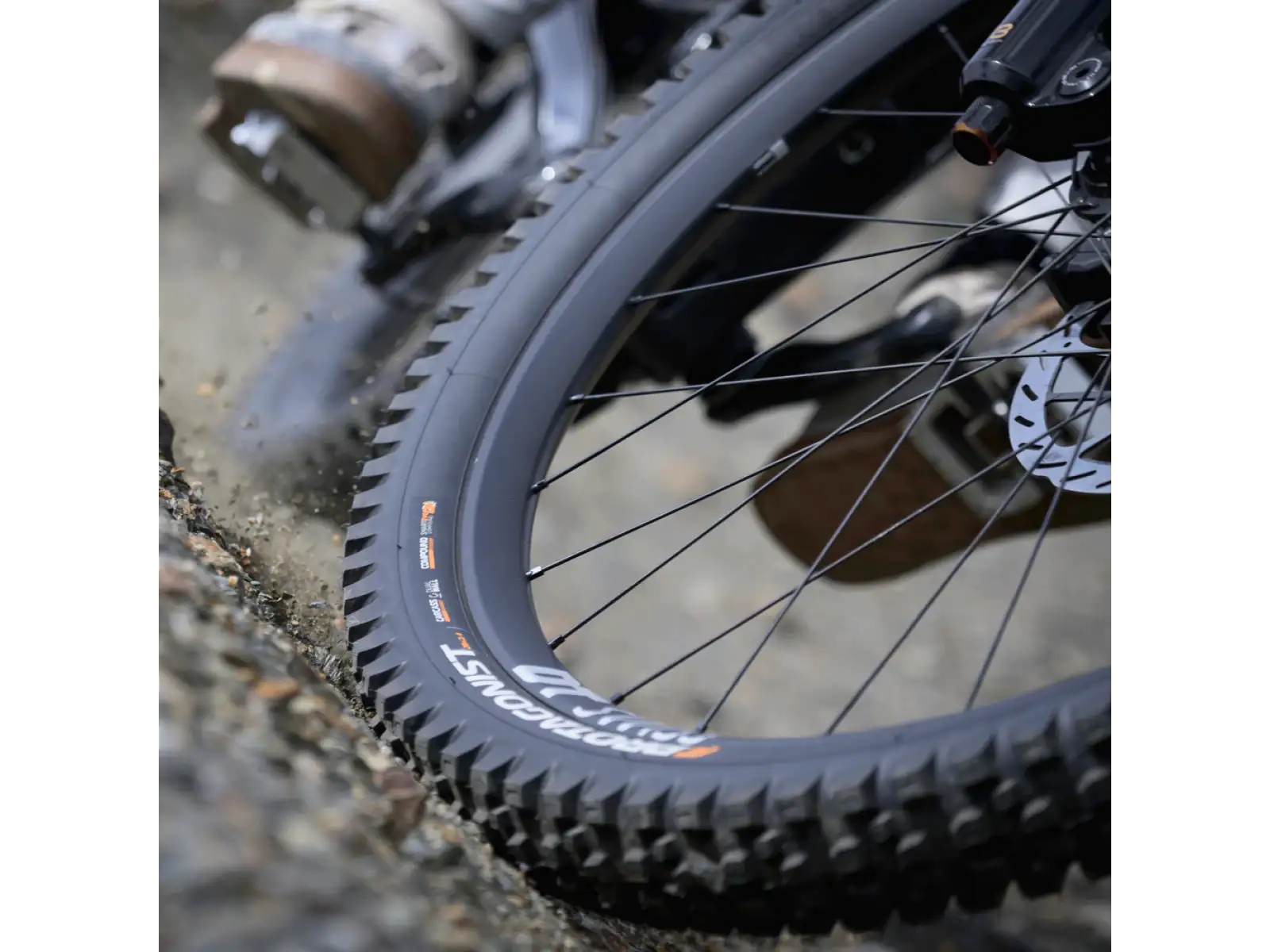 Pirelli CAST Protagonist DW, SmartEVO DH, 29x2.4, MTB opona czarny