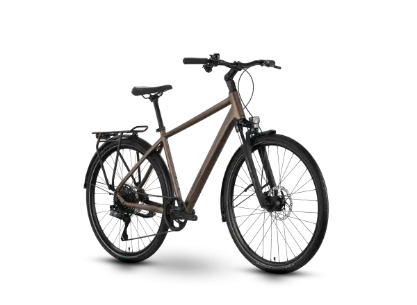 Raymon Zayn Auto Diamond rower trekkingowy Mushroom/Black