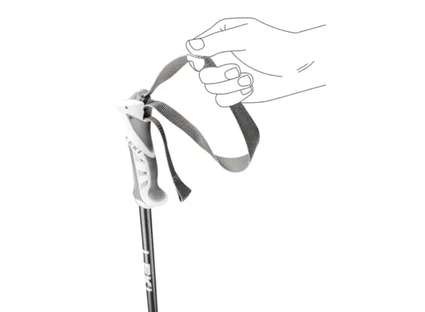 Leki Bliss kijki zjazdowe Gunmetal/Dark Anthracite/White