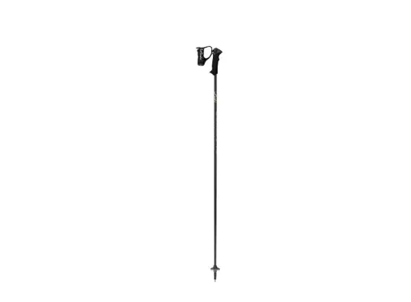 Leki Carbon 14 S Lady narty zjazdowe kije black/gold