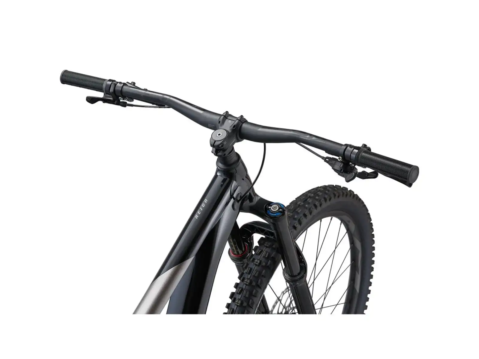 Giant Reign 2 rower górski black/metal