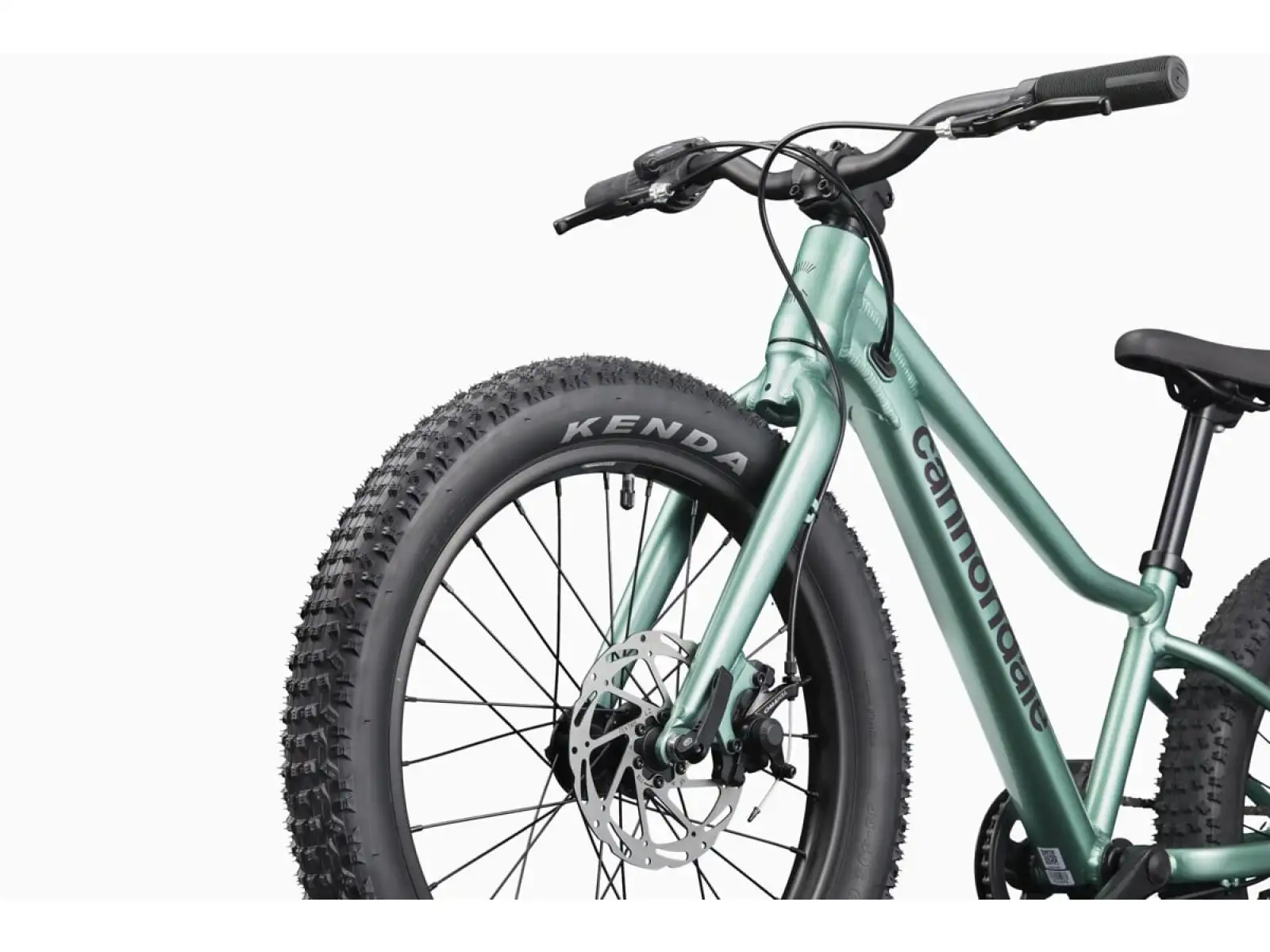 Cannondale Kids Trail Plus 20 rower dziecięcy Cactus Green