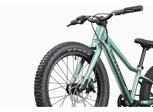 Cannondale Kids Trail Plus 20 rower dziecięcy Cactus Green