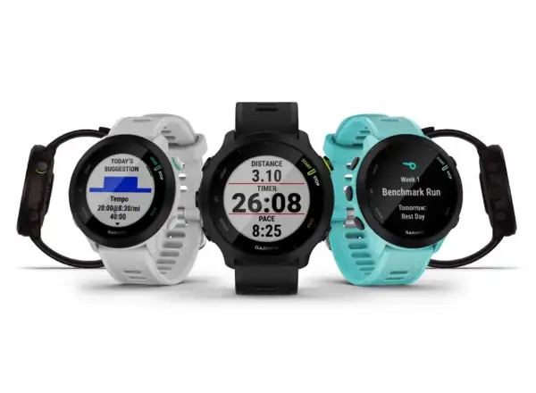 Garmin Forerunner 55 inteligentny zegarek Grey