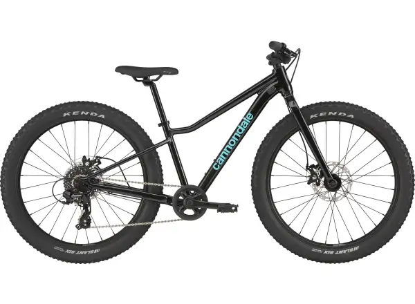 Cannondale Kids Trail Plus 24 rower dziecięcy Black Pearl