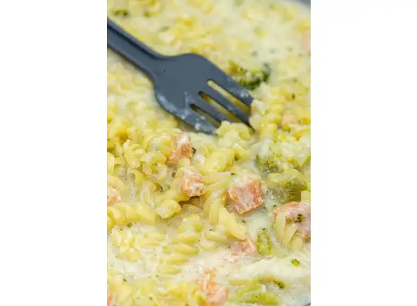 Summit To Eat liofilizowane jedzenie Łosoś z makaronem i brokułami 117 g