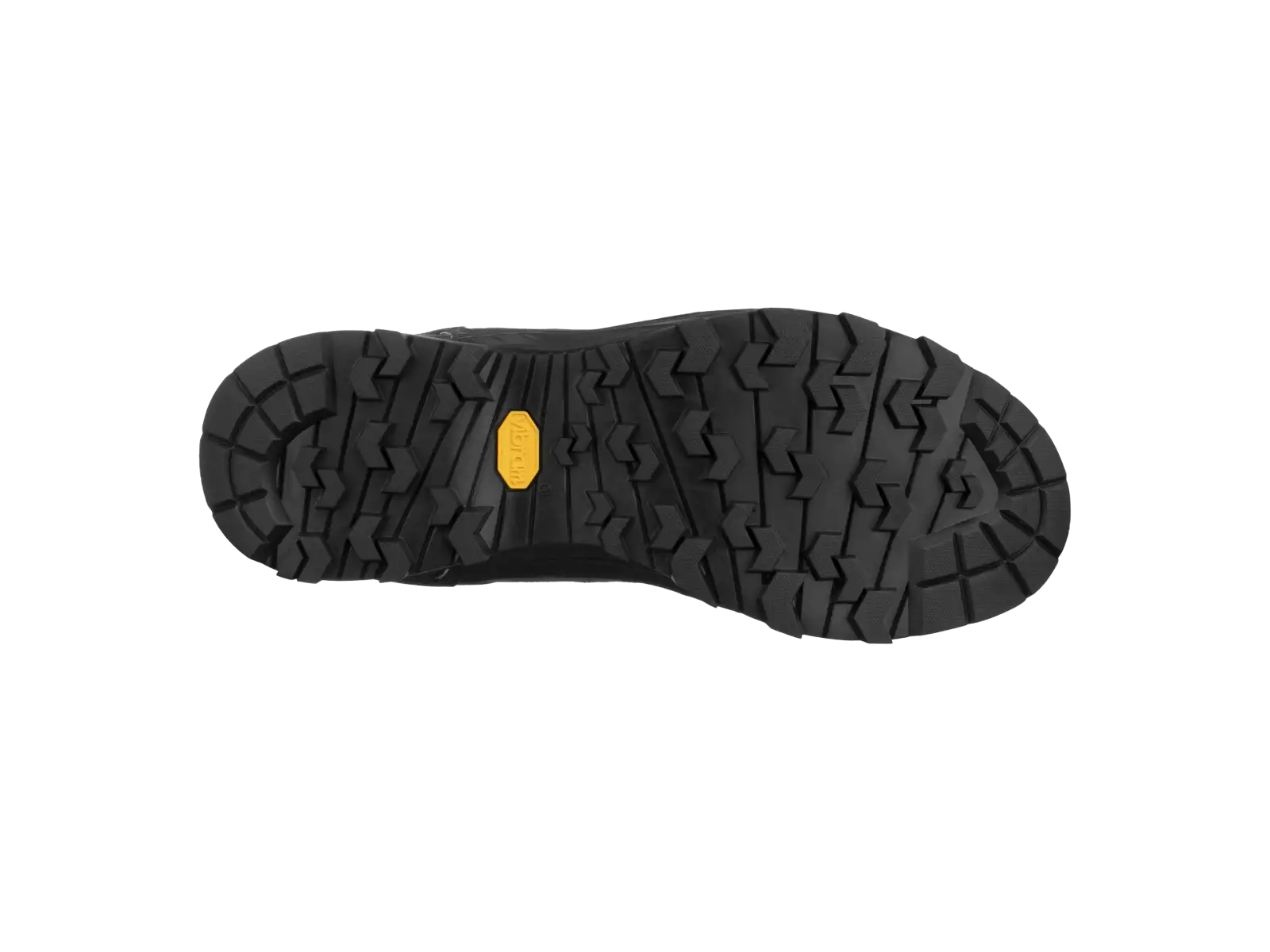 Salewa Alp Trainer 2 GTX męskie buty Bungee Cord/Black