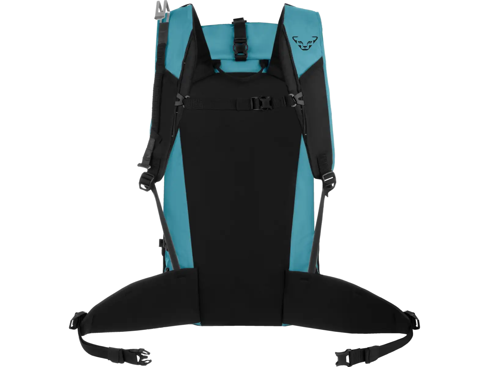 Dynafit Expedition plecak 36 l Storm Blue/Blueberry