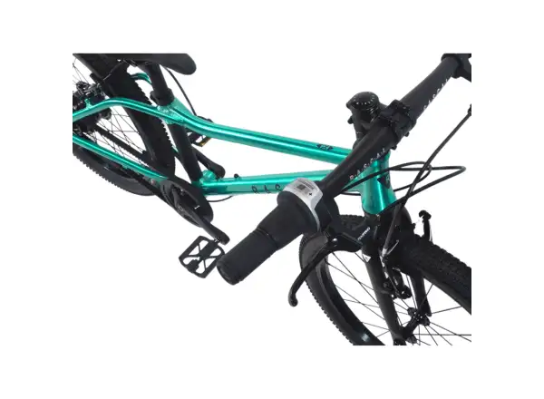 Rascal 20 Limited rower dziecięcy Emerald